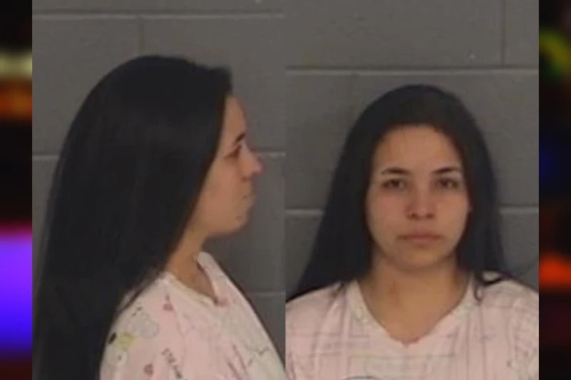 Yeniser Perez-Caballero Mugshots