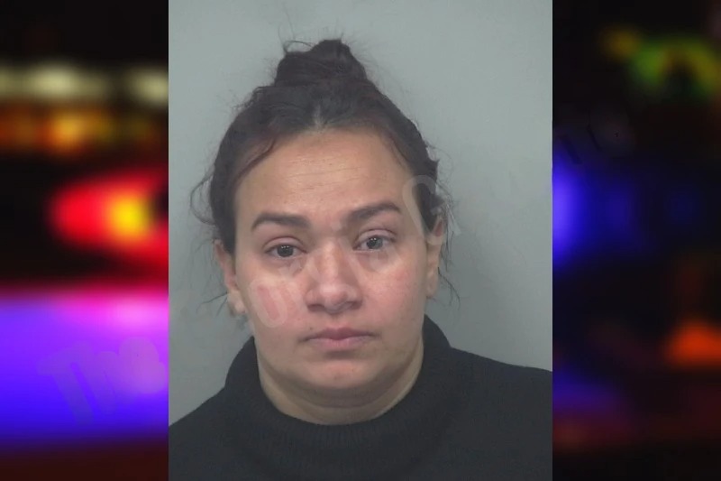 Yeraldin Alvarez Mugshots