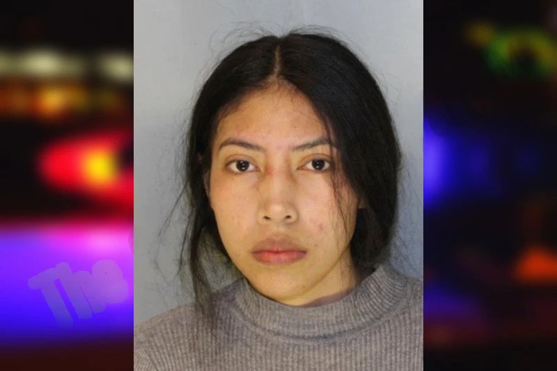 Yolanda Ramirez mugshot – Hall County , Georgia Yolanda Ramirez mugshot