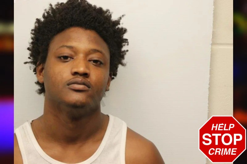 Yordanis Dominguez Mugshots