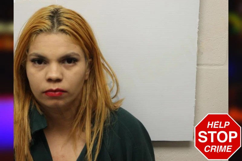 Yuleimy Mejia Perez Mugshots