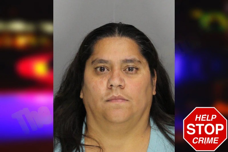 Yuraima Rincon Mugshots