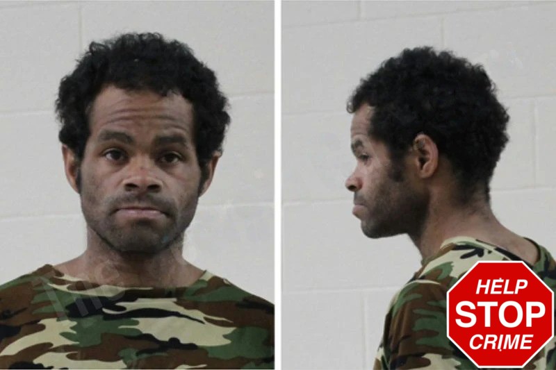 Zachary Lowe mugshot – Houston County , Georgia Zachary Lowe mugshot