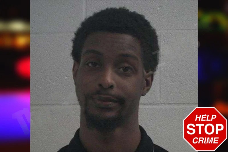 Zahlee Lewis Mugshots