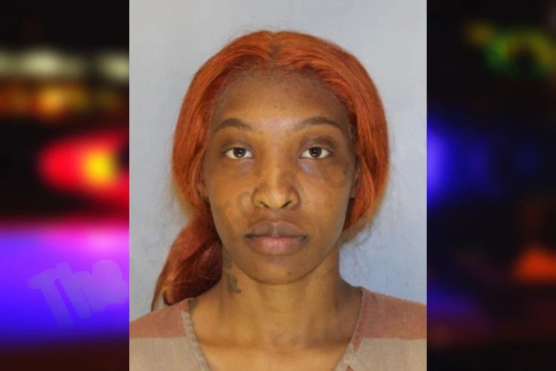 Zermire Wilkins Mugshots