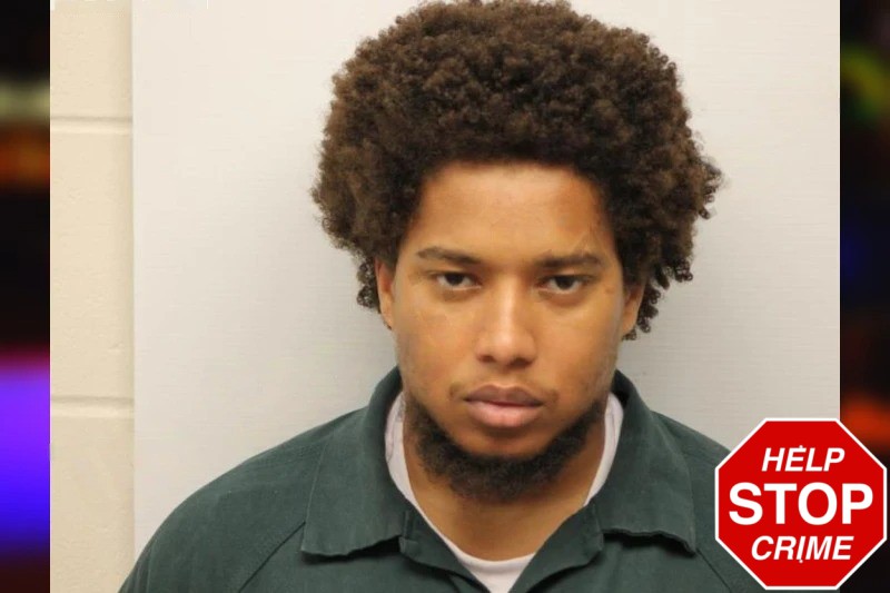 Zijie Wilson Mugshots