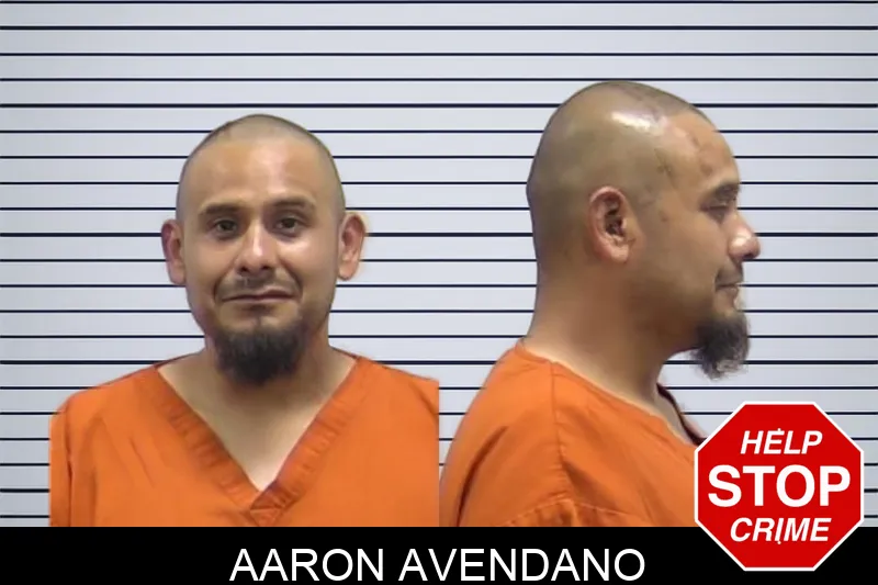Aaron Avendano Mugshots