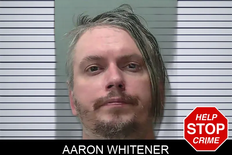 Aaron Whitener Mugshots