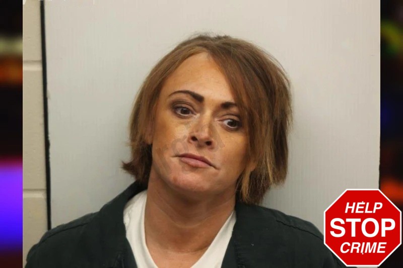 Abbey Boutin Mugshots