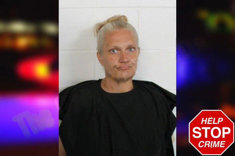 Abbey McPherson Mugshots