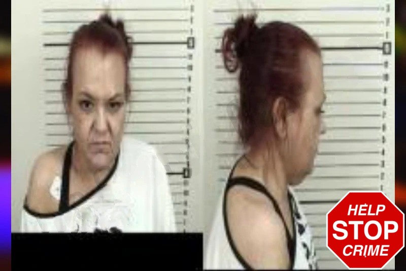 Abbie Hohlfeld Mugshots