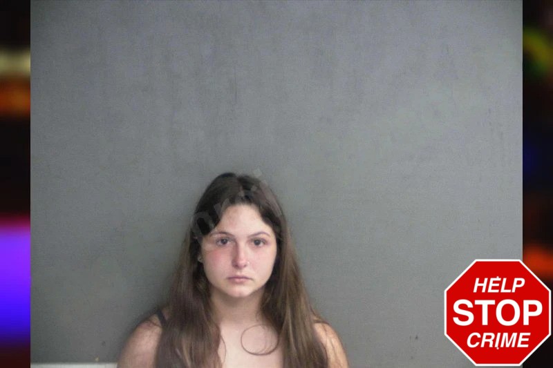 Abigail Burns mugshot – Twiggs County , Georgia Abigail Burns mugshot