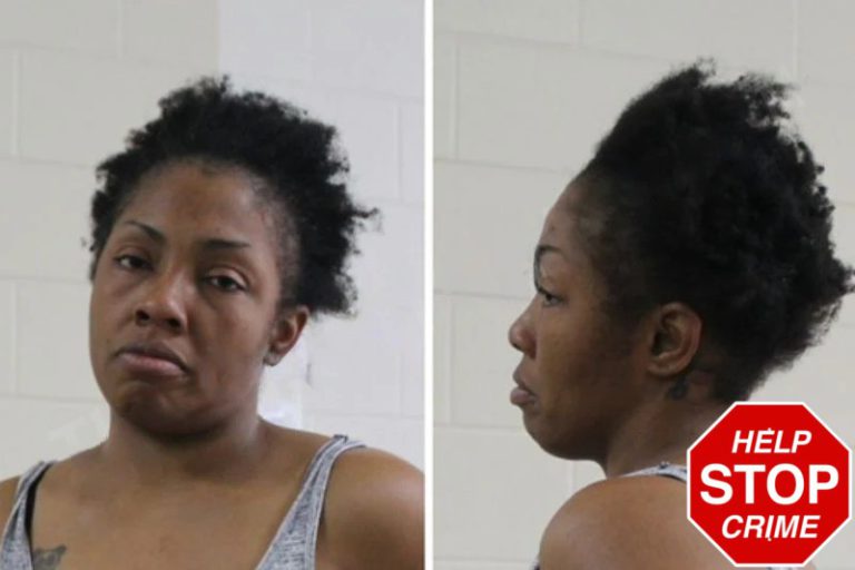 Abigail Lane mugshot – Houston County , Georgia Abigail Lane