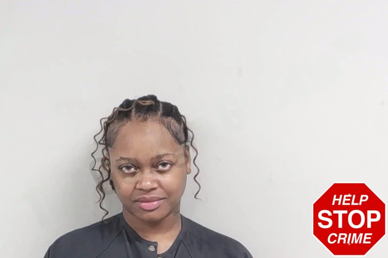 Abriana Johnson Mugshots