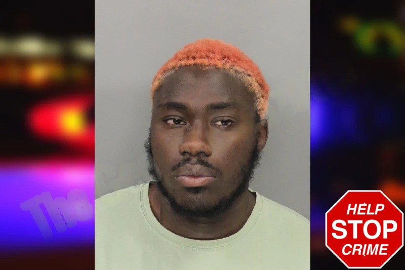 Abubakarr Sankareh Mugshots