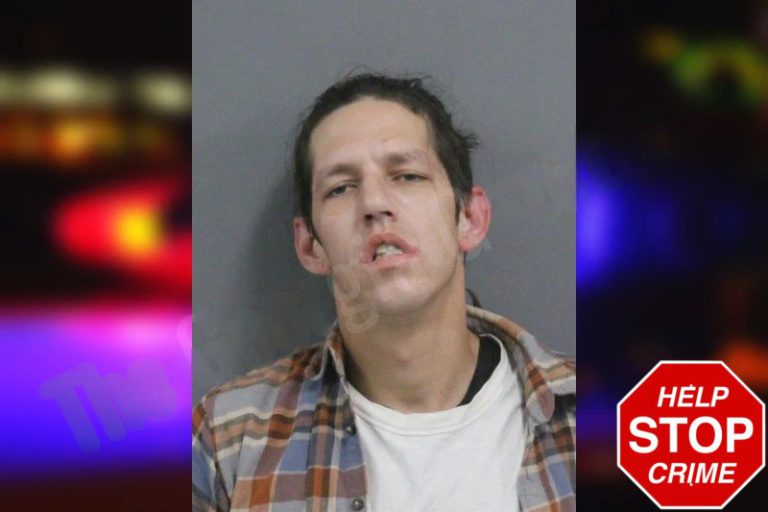 Acea Timmons mugshot – Catoosa County , Georgia Acea Timmons