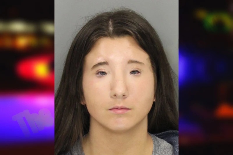 Addyson Stanley Mugshots