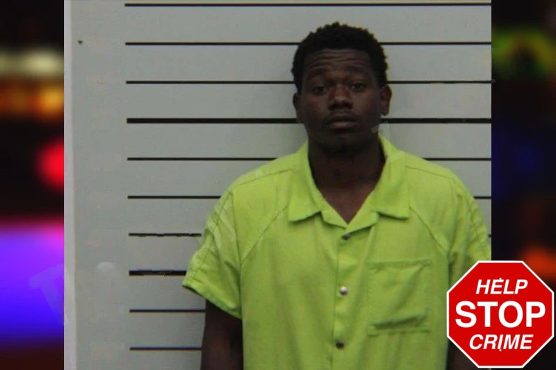 Adlin Miscalin Mugshots