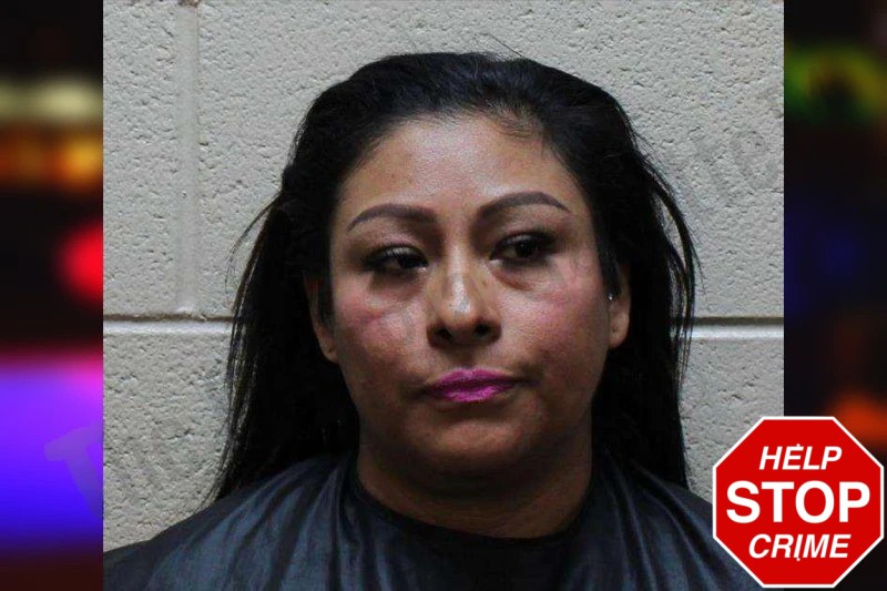 Adriana Rosalino-Mendiola Mugshots