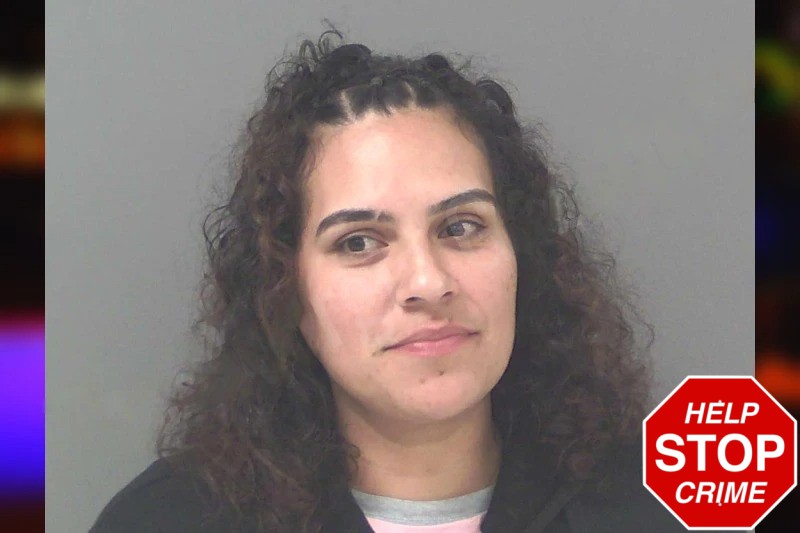 Aidelize Figueroa Mugshots