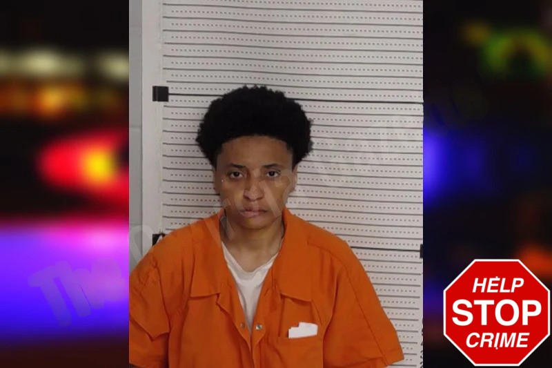 Aijhanae Riddick mugshot