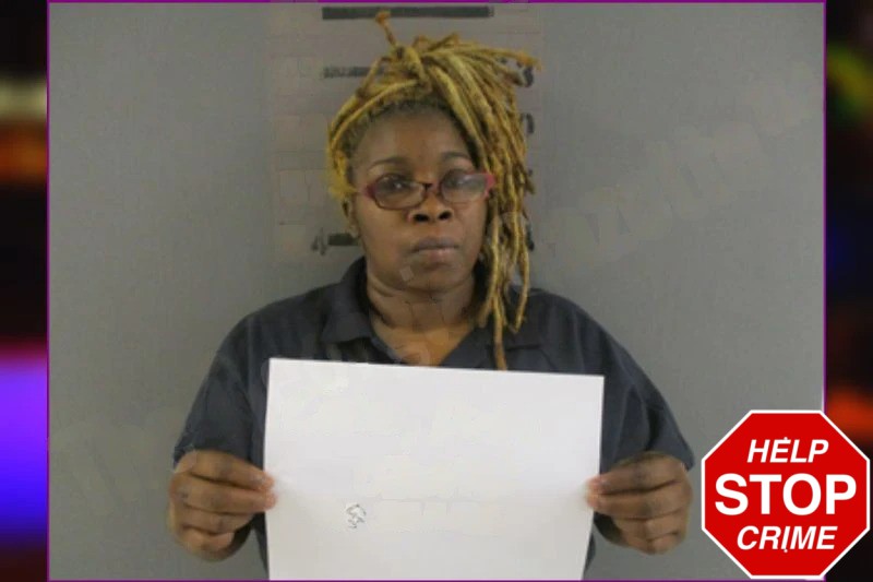 Aisha Castro Mugshots