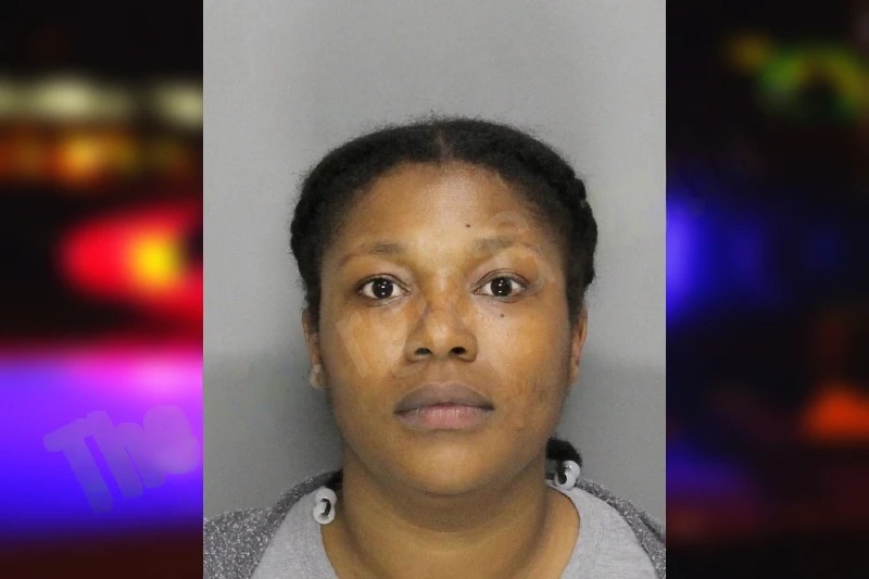 Alayshia Fair Mugshots