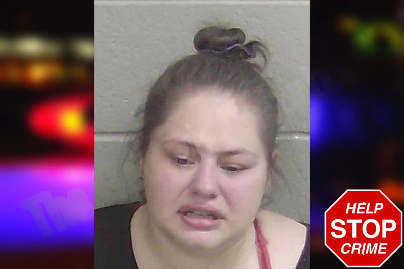 Alejandra Morgado Mugshots