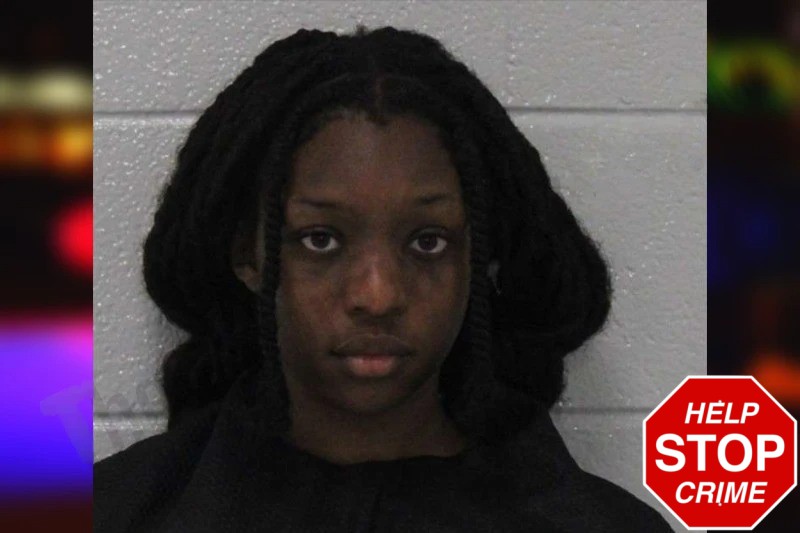 Alek Johnson Mugshots