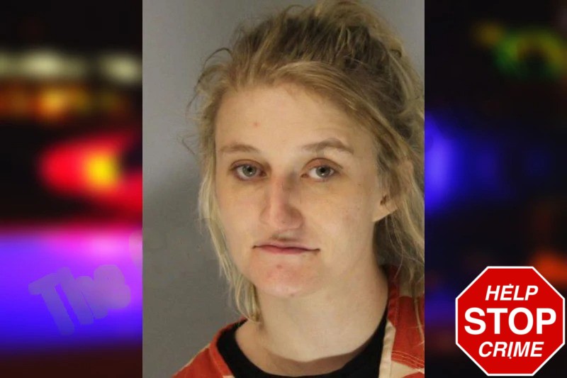 Alesa Sosebee Mugshots