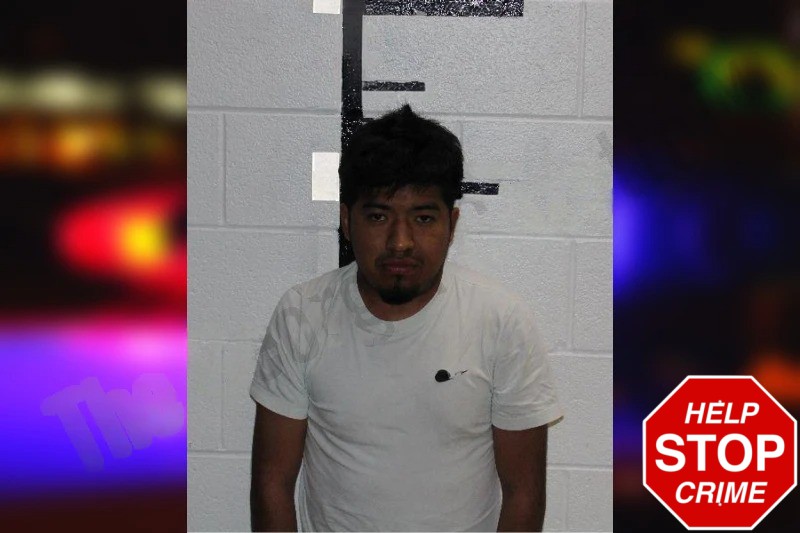 Alex Bautista-Tercero Mugshots