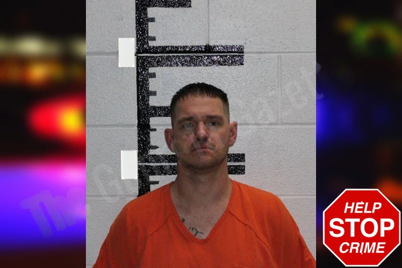 Alex Silvers Mugshots