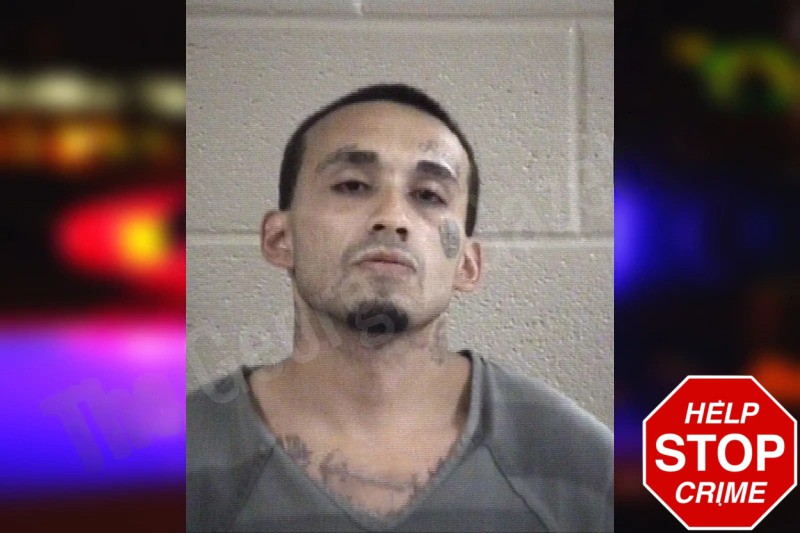 Alex Zamora Mugshots