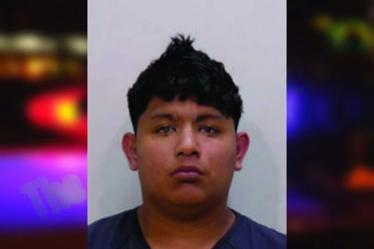 Alexander Bouriyu mugshot – Bartow County , Georgia Alexander Bouriyu