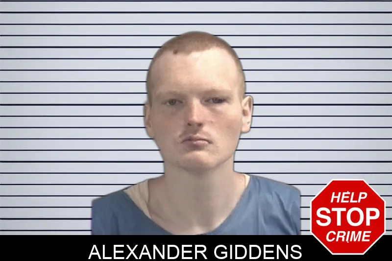 Alexander Giddens Mugshots