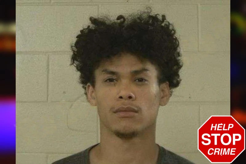 Alexander Meadows mugshot – Liberty County , Georgia Alexander Meadows mugshot