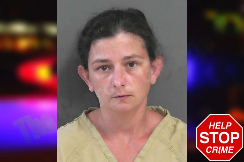 Alexandra Anderson Mugshots