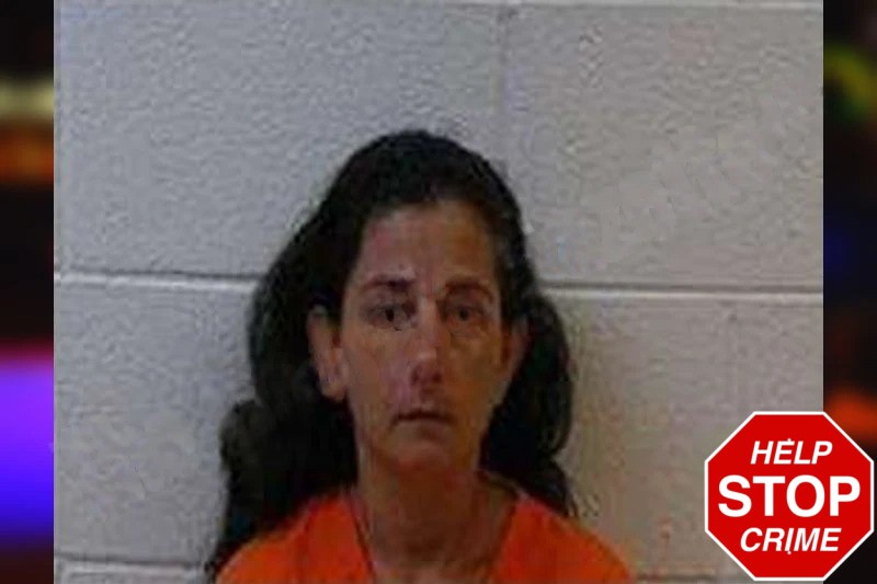 Alexandria Anderson Mugshots