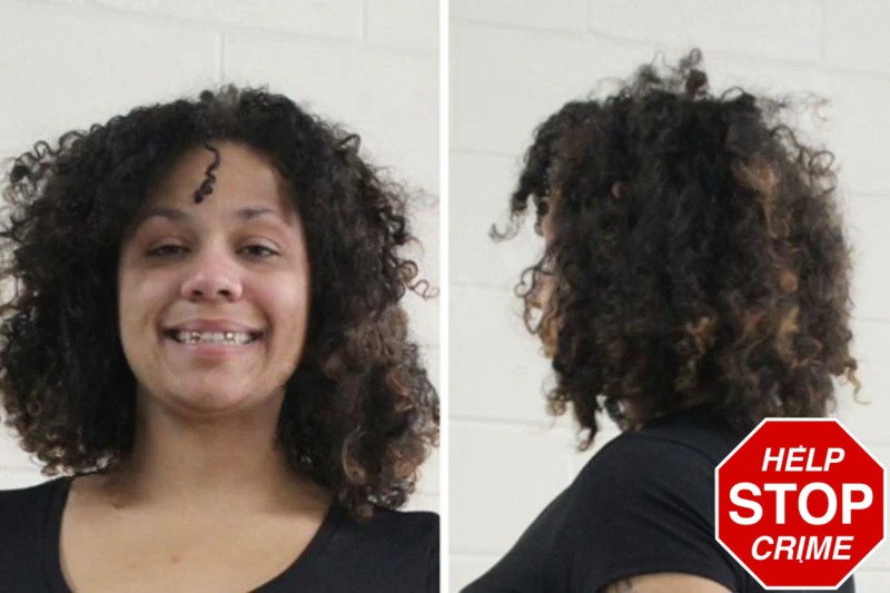 Alexandria Hill Mugshots