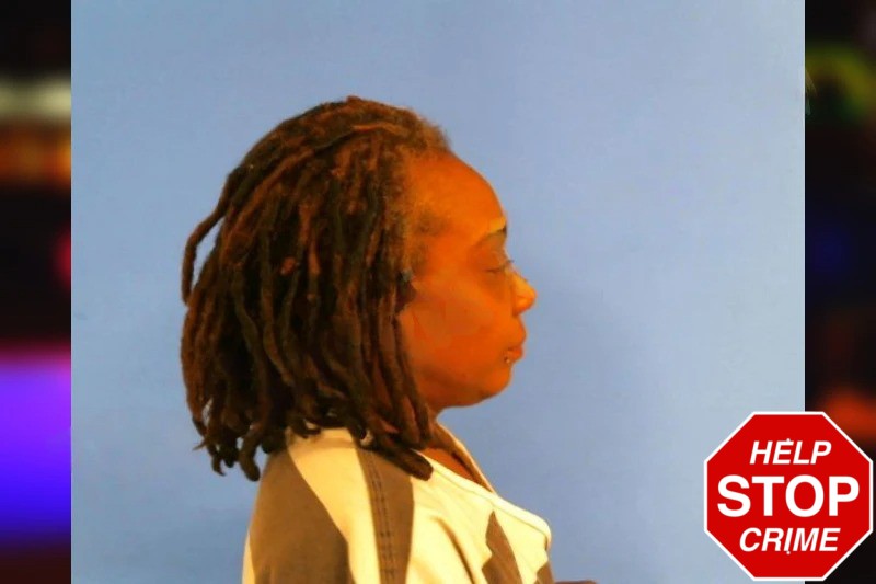 Alexandria Howell mugshot