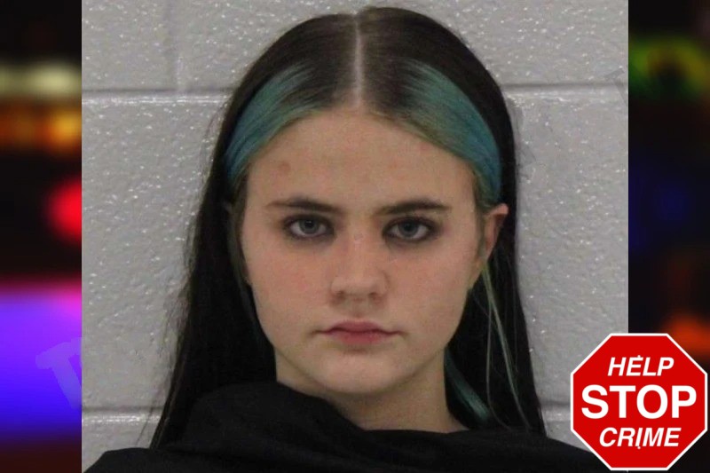 Alexena Lilly mugshot – Carroll County , Georgia Alexena Lilly mugshot