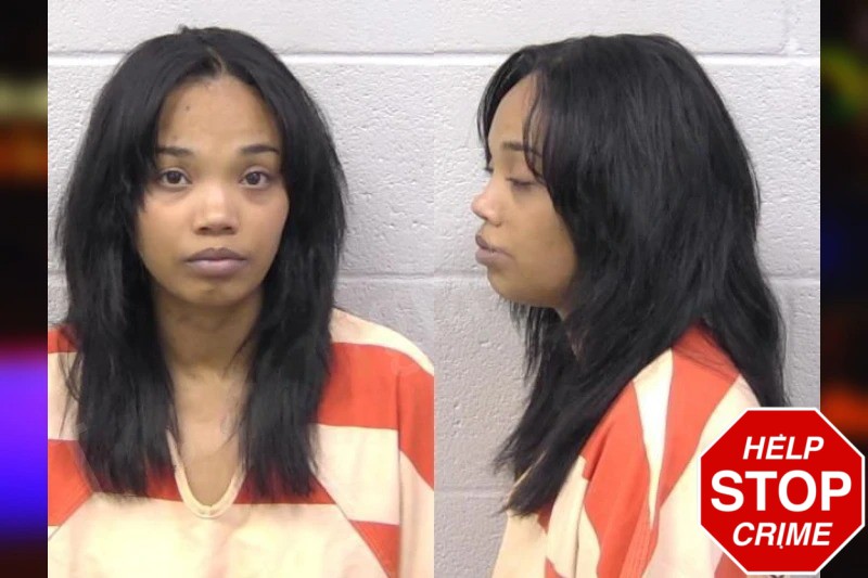 Alexis Ablao-Robinson Mugshots