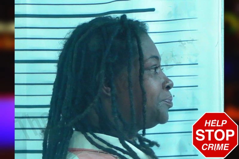 Alexis Baker Mugshots