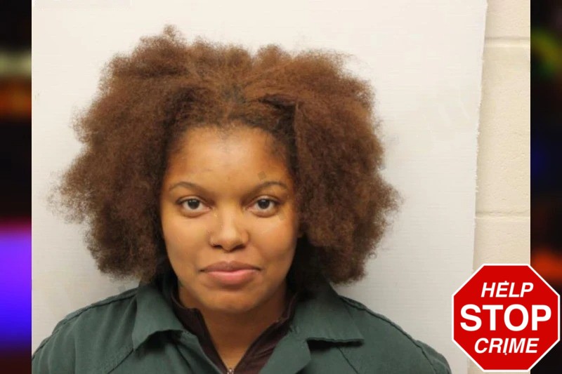 Alexis Bines Mugshots