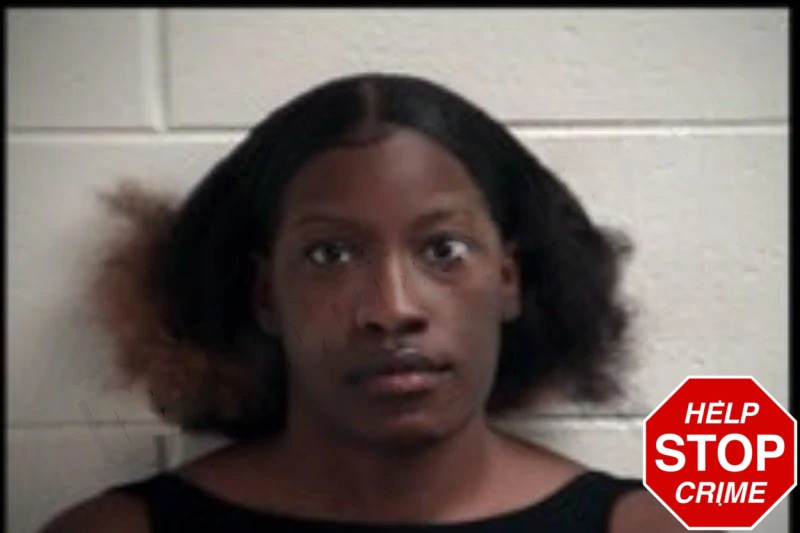 Alexis Gibson Mugshots