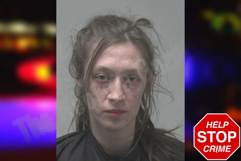 Alexis Gonzales Mugshots