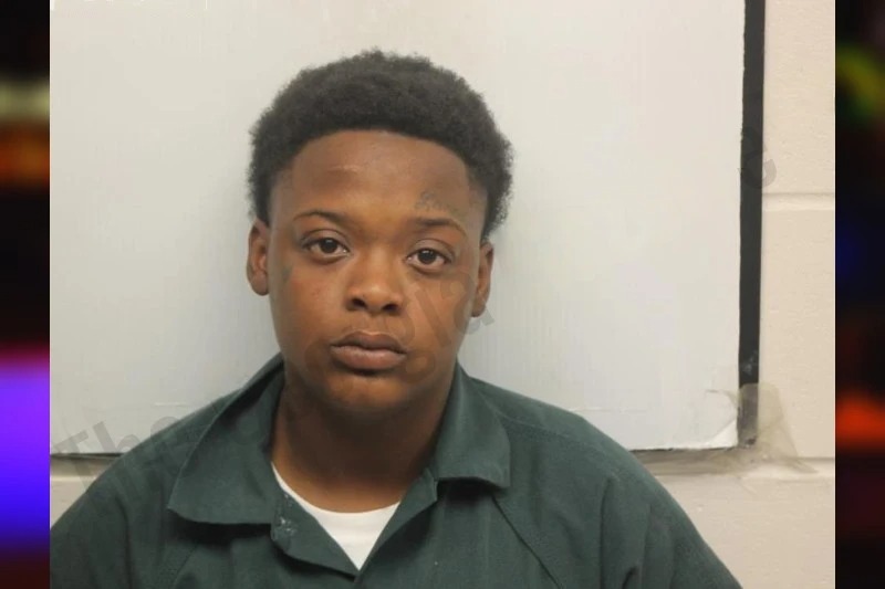 Alexis Johnson Mugshots