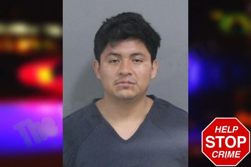 Alexis Miranda Mugshots