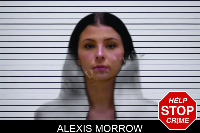 Alexis Morrow Mugshots