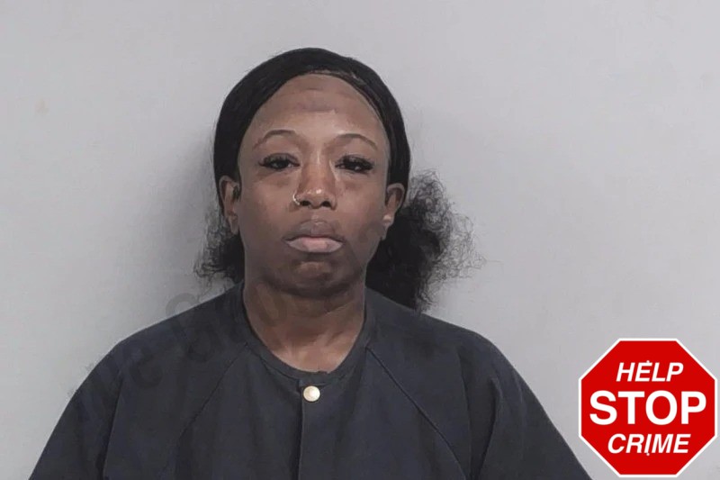 Alexis Wright Mugshots